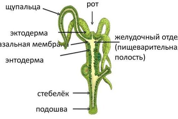 Кракен официальная ссылка