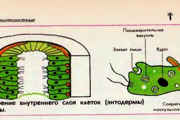 Впн для кракена