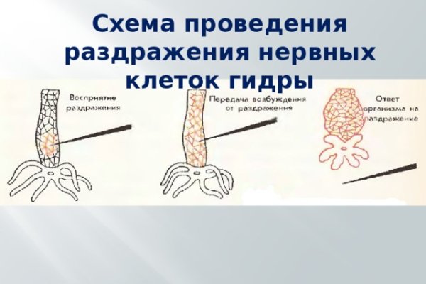 Kraken ссылка на сайт тор