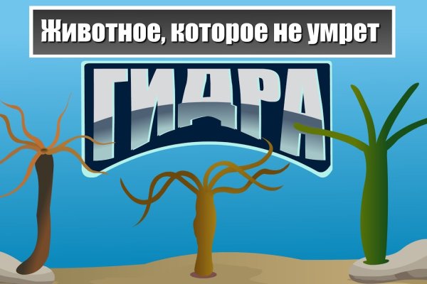 Модератор на кракене