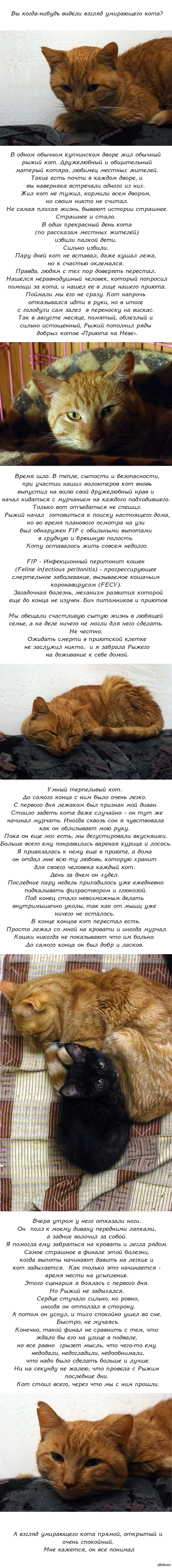 Ссылка на кракен kr2link co