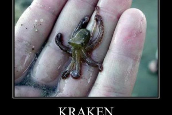 Kraken адрес onion